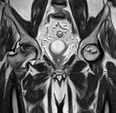 c10c4de0e56230cc84ec7db09f43197e.jpg
